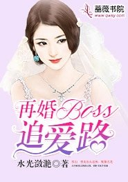 再婚BOSS追爱路