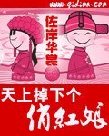 天上掉下個俏紅娘
