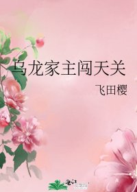 乌龙家主闯天关