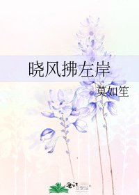 曉風拂左岸