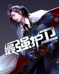 最强护卫